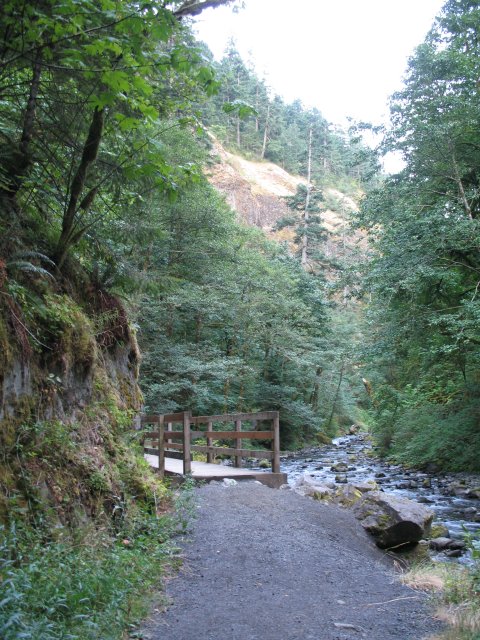 7.30.06 Wahclella Falls 007 